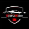 Ugarte Motor